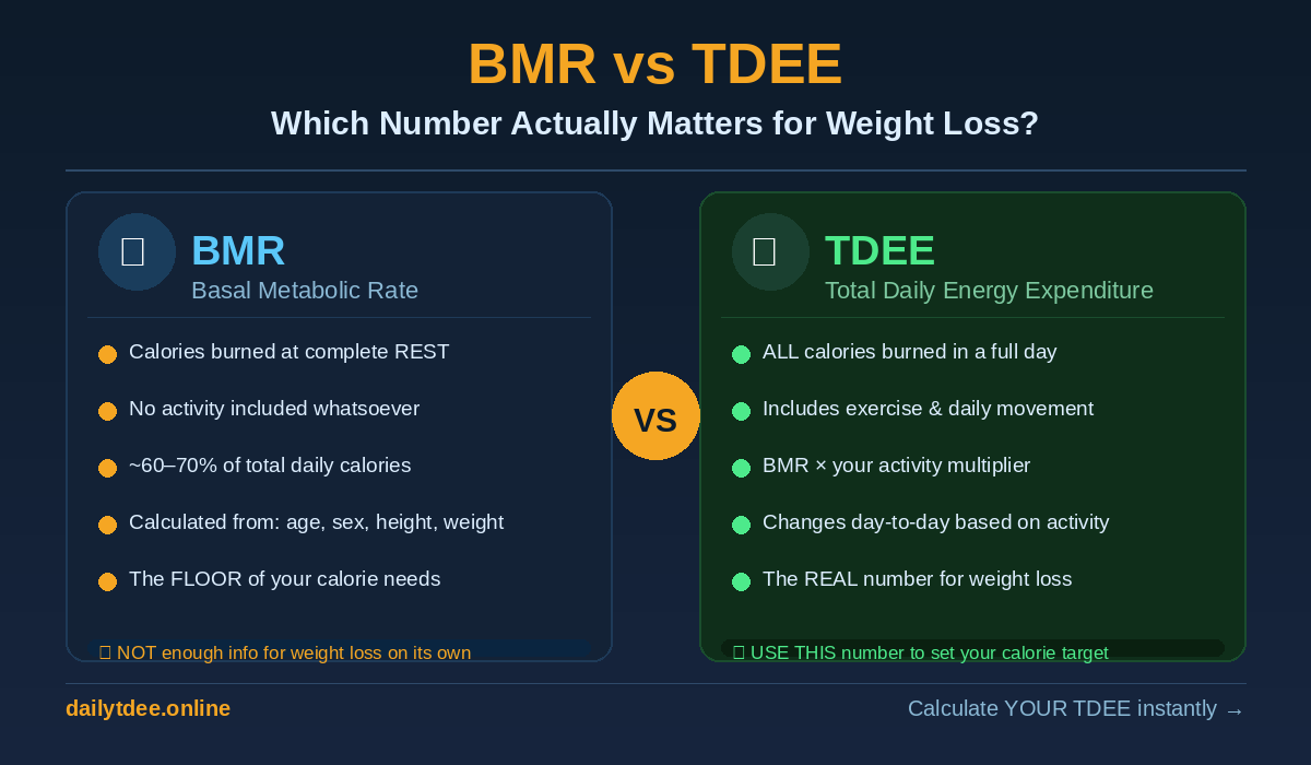 infographic about diffrence in BMR vs TDEE