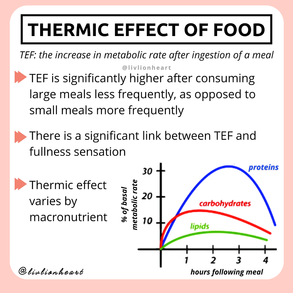 Thermic Effect of Food (TEF) Explained