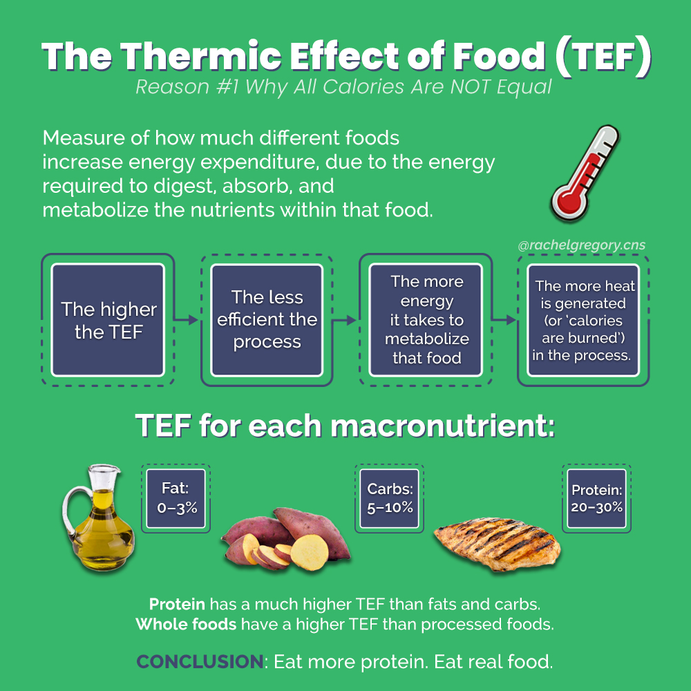 thermic effect of food TEF