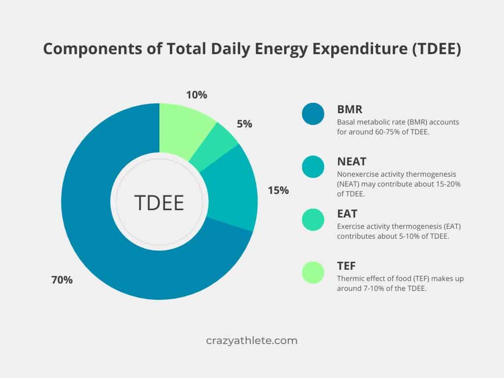 TDEE men over 40 calorie decrease with age, total energy expenditure