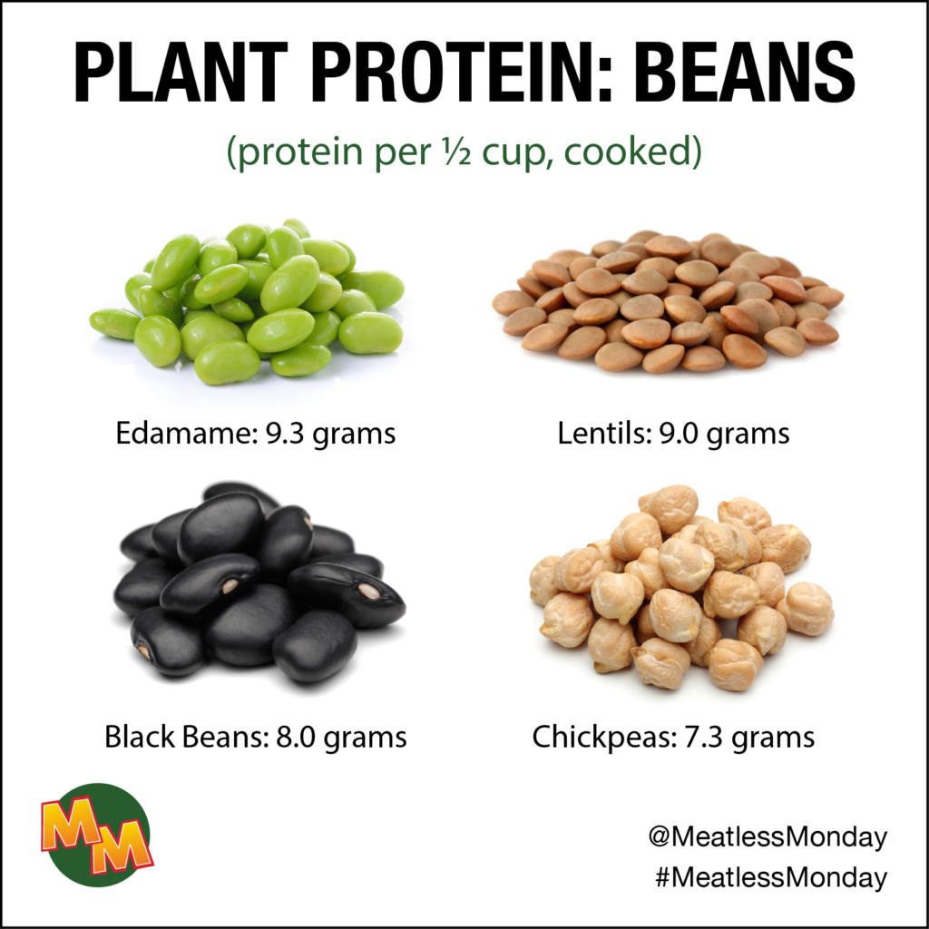 Lentils, chickpeas, and beans in bowls — plant-based protein sources that count toward your protein intake calculator daily grams target for vegetarians and vegans