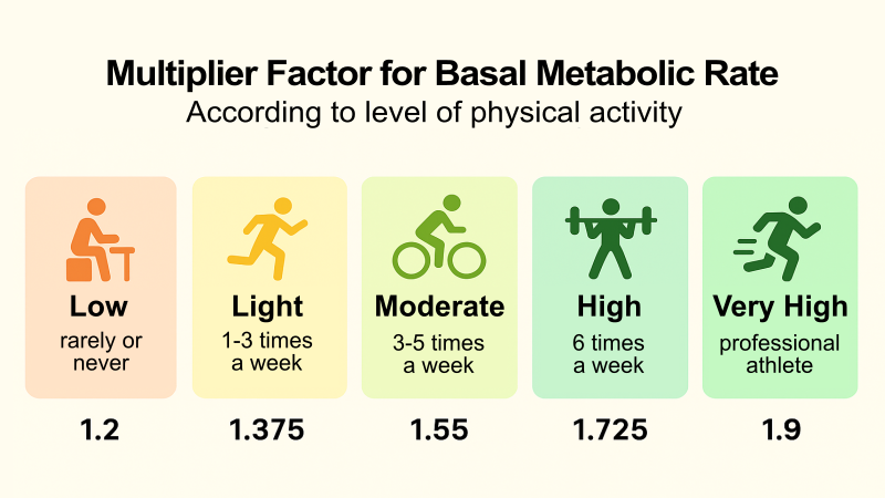 Inaccurate TDEE Calculator Results: from wrong BMR formula — activity level multiplier comparison chart"